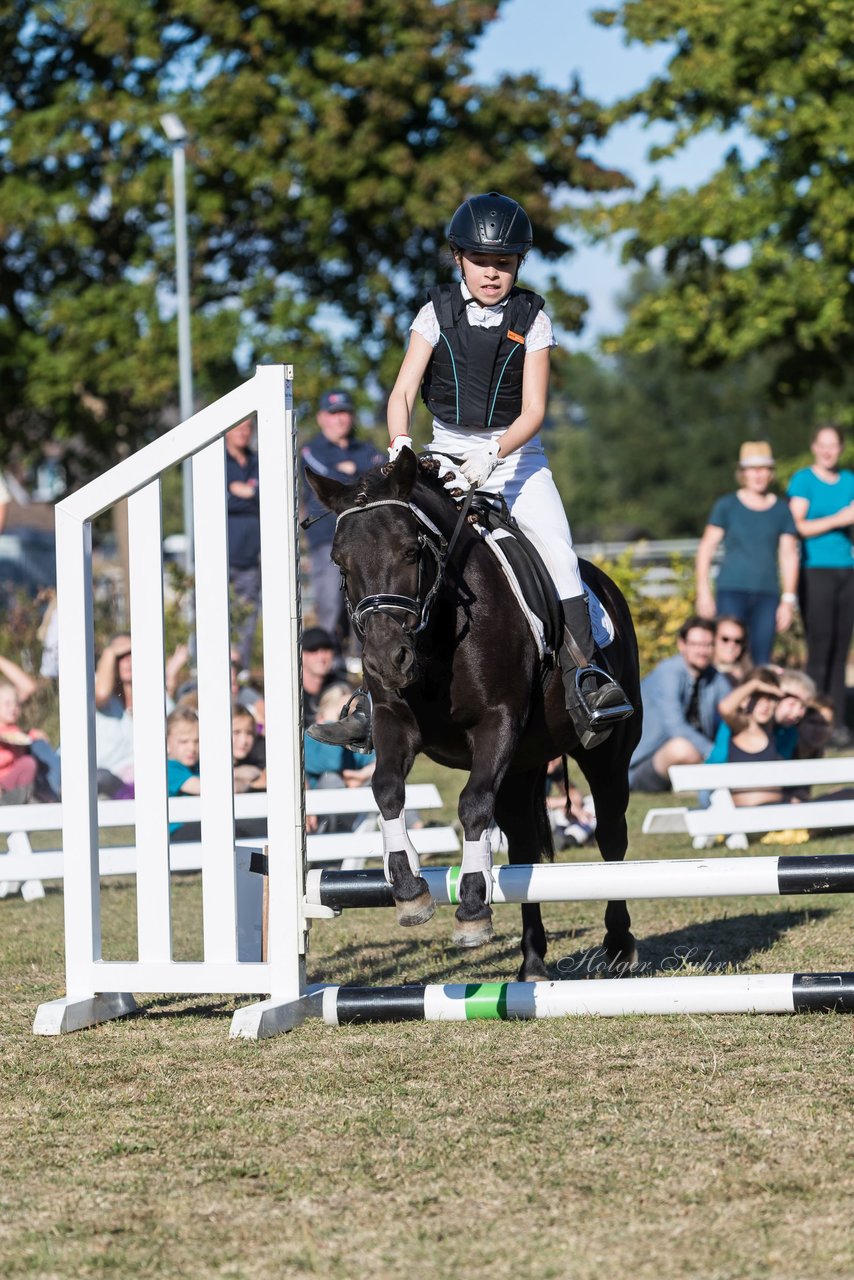 Bild 44 - Pony Akademie Turnier